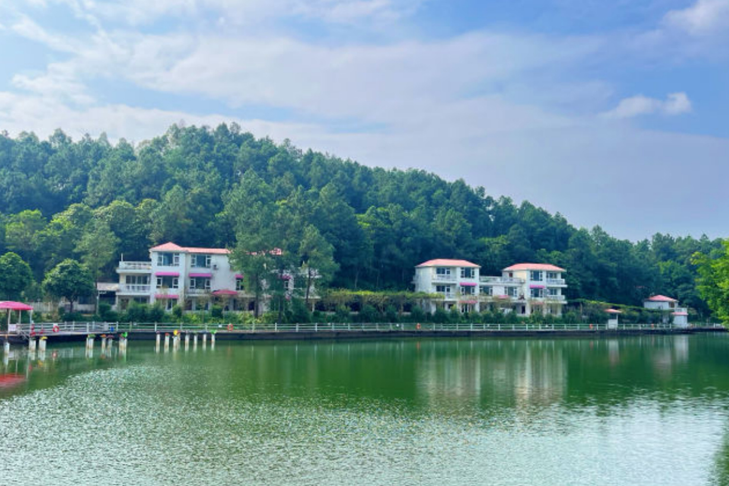 清遠(yuǎn)靜?湖森林湖畔?宿童畫營(yíng)地